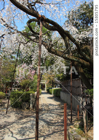 京都交通神社的Kiseido起重機 15805795