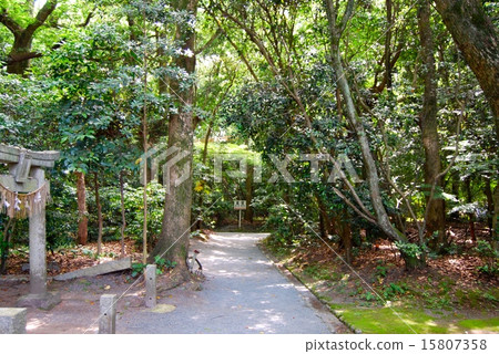 福岡Munakata Taisha 15807358