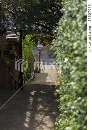 DongDon Saka DongDon Saka 15807986