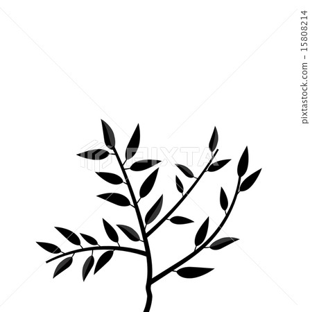 Black Silhouette Branch Tree with Leafs 15808214