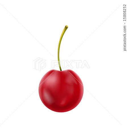 Single Realistic Cherry Isolated on White 15808252