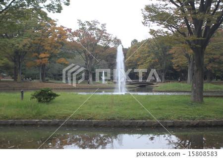 東京噴泉廣場在代代木公園2 東京噴泉廣場在代代木公園2 15808583