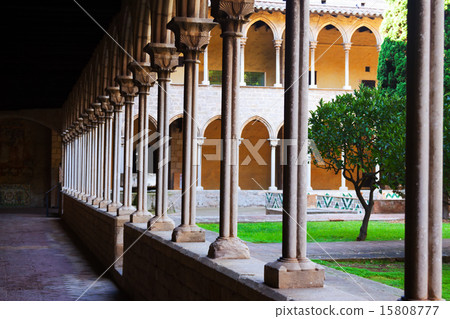 yard of Pedralbes Monastery 15808777