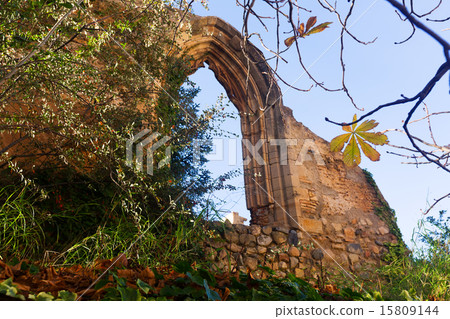 Old gothic arch 15809144