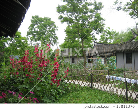 中國農村的風景 15811376