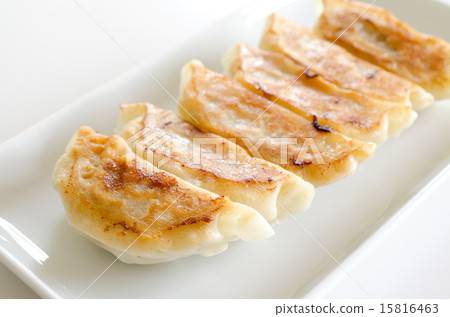 Gyoza Gyoza 15816463