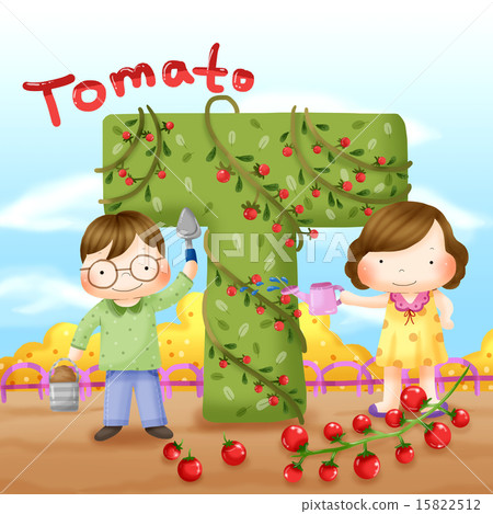 Alphabet Education_020 Alphabet Education_020 15822512