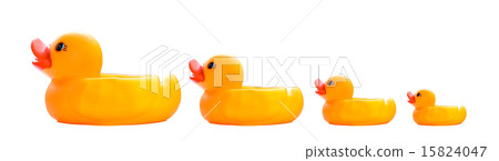 Yellow rubber Yellow rubber 15824047