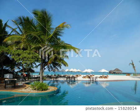 馬爾代夫卡努胡拉度假村游泳池 15828014