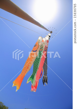 Carp streamer Carp streamer 15830785
