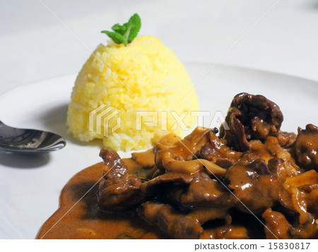 Russian cuisine beef stroganoff 15830817