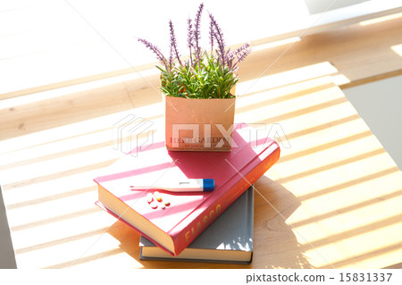 Living interior_012 15831337