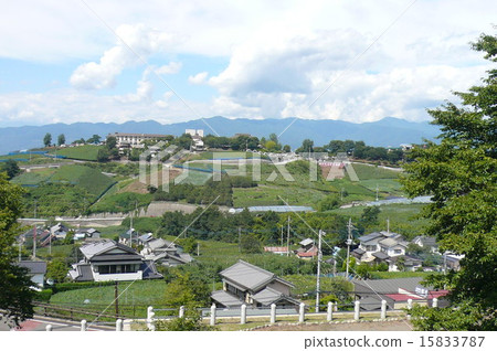 Katsunuma Vineyards 15833787