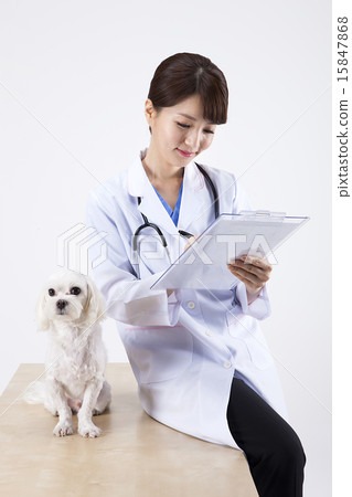female Doctor_125 15847868