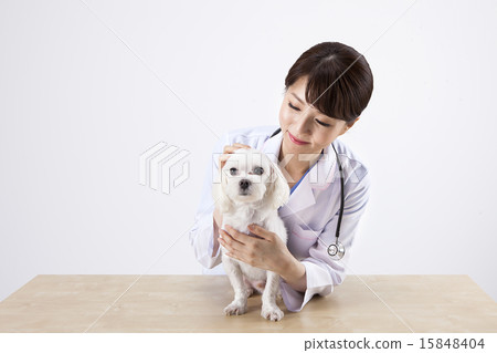 female Doctor_130 female Doctor_130 15848404