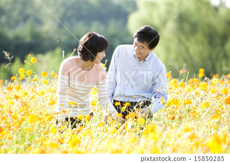 [PHO185] Life in the Middle Ages_038 15850285