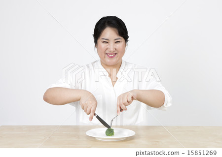 [PHO193] fat woman_093 15851269