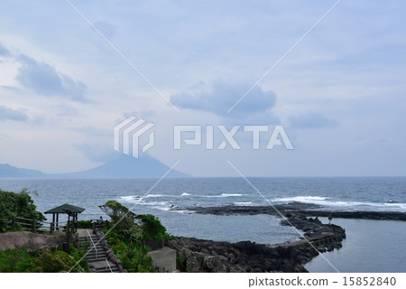 Nagasaki Nose 15852840