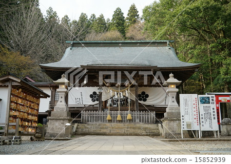 Namiko Shrine 15852939