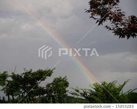 Rainbow Rainbow 15853283