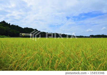 Hitachinaka Beach Line 2 15853346