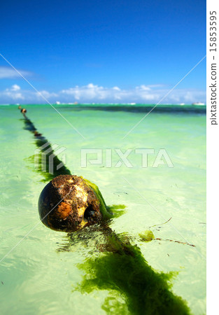 Buoy on caribbean sea 15853595