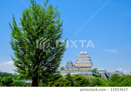 Himeji castle in early summer 15853637