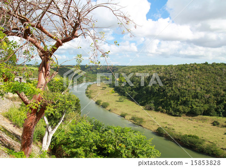 Tropical river 15853828