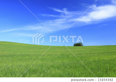 Kamifurano-cho Hokkaido grassland and flow cloud 15854392