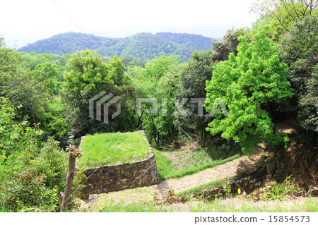 Jinshan Castle Ruins 15854573