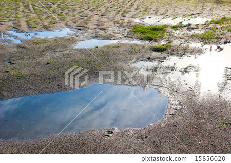 Puddle that the blue sky appears Puddle that the blue sky appears 15856020