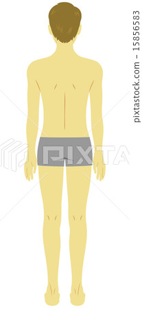 Beauty Men Body Swimwear Rear View Beauty Men Body Swimwear Rear View 15856583