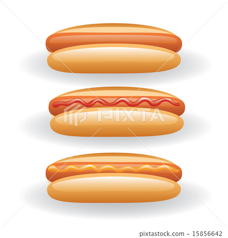 hotdog hotdog 15856642