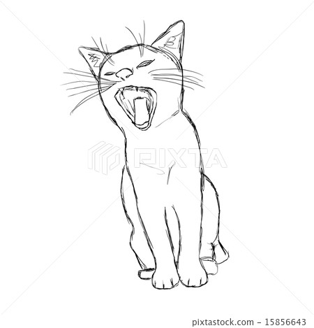 cat 15856643