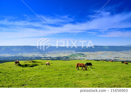 Grazing of Aso 15856903