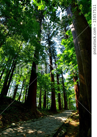 Dewa Shrine (14) Dewa Shrine (14) 15857511