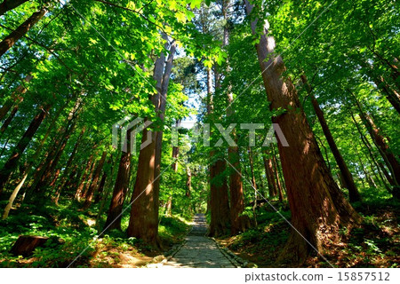 德瓦神社（15） 15857512