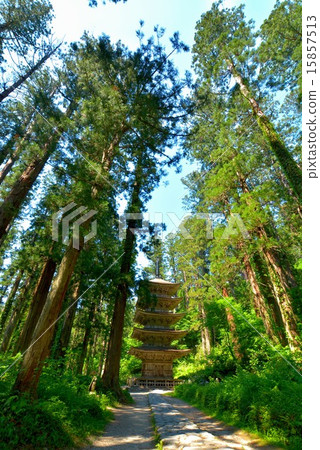 Haguroyama five-storied pagoda (4) 15857513