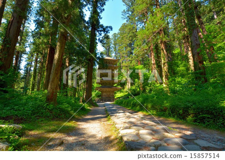 Haguroyama five-storied pagoda (5) 15857514