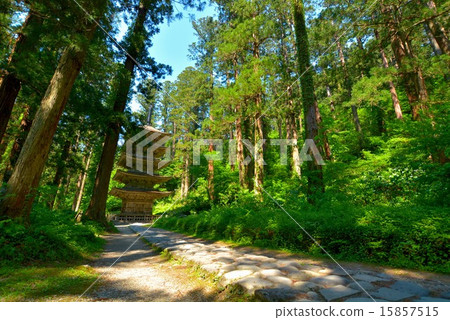 Haguroyama five-storied pagoda (6) Haguroyama five-storied pagoda (6) 15857515