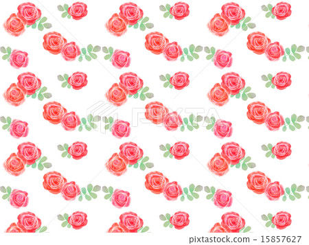 Rose rose June Bride Wedding Present Gift Flower Arrangement Plant cute cute green 15857627