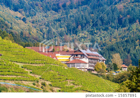 Houses in The Black Forest mountains 15857891
