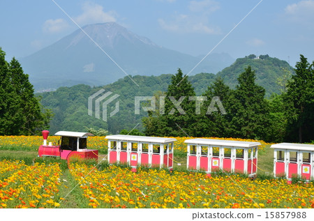 鴉片花園和花火車 15857988