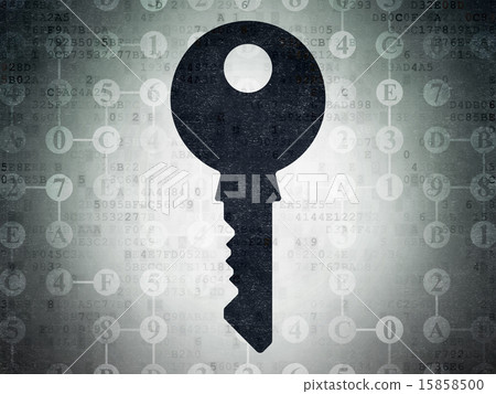 Privacy concept: Key on Digital Paper background 15858500