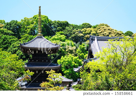 Fresh green waters Kanon Kanonji Fresh green waters Kanon Kanonji 15858661