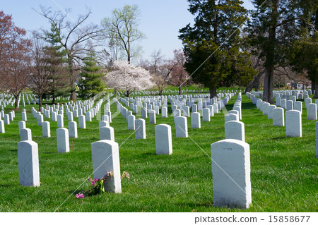 Arlington Cemetery graves 15858677