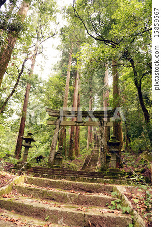 Taki Shrine Mino City Gifu Prefecture Taki Shrine Mino City Gifu Prefecture 15859567