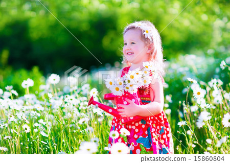 Little girl in daisy flower field Little girl in daisy flower field 15860804