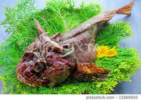 石頭魚 石頭魚 15860920