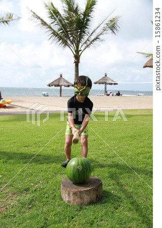 西瓜分裂 西瓜分裂 15861234